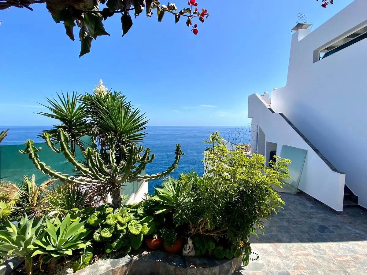 Villa Oasis La Paz - Pelicar Apartment - Adults Only - Puerto de la Cruz