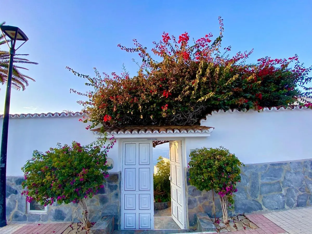 Villa Oasis La Paz - Pelicar Apartment - Adults Only - Puerto de la Cruz