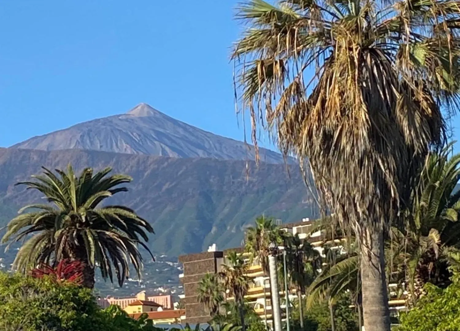 Villa Oasis La Paz - Pelicar Apartment - Adults Only - Puerto de la Cruz   Puerto de la Cruz (Tenerife)