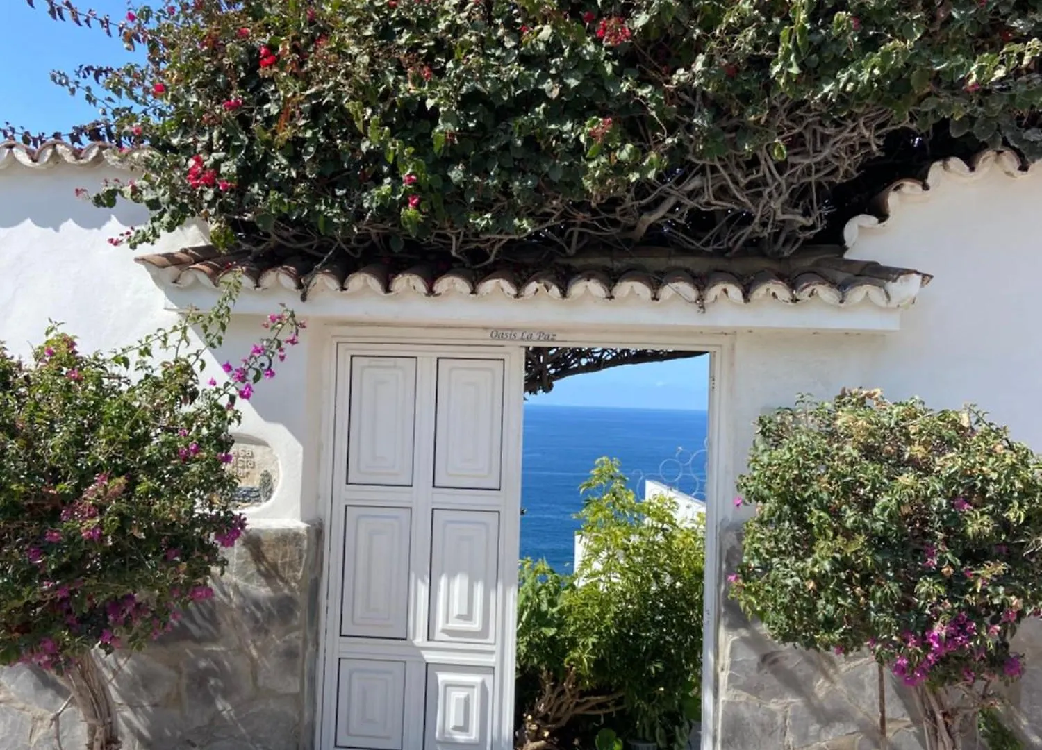Villa Oasis La Paz - Pelicar Apartment - Adults Only - Puerto de la Cruz